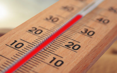 Canicule : comment garder vos locaux frais sans sur-consommer ?